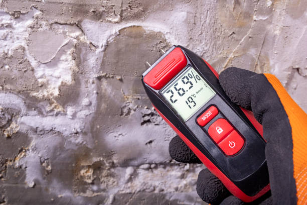 Best Localized Mold Remediation (e.g., coastal areas, humid climates) in Stockton, IL